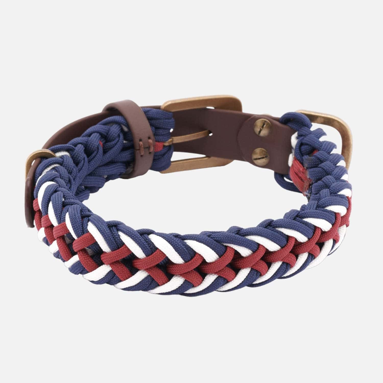 William Walker Paracord Biothane Hundehalsband Royal // Limited